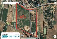 ขายที่ดินทำเลดี แปลงสวย ติดถนน 3 ด้าน พร้อมสวนไผ่ และ สวนป่า พร้อมบ้านพัก เจ้าของขายเอง ตำบลสระกระโจม อำเภอดอนเจดีย์  จังหวัดสุพรรณบุรี 