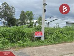  ขายที่ดิน เนื้อที่ 2 ไร่ 1 งาน 91 ตร.วา มุกดาหาร