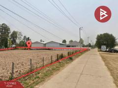  ขายที่ดิน เนื้อที่ 2 ไร่ 1 งาน 91 ตร.วา มุกดาหาร-202509151549251757926165032.jpg