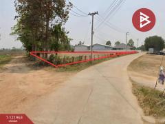  ขายที่ดิน เนื้อที่ 2 ไร่ 1 งาน 91 ตร.วา มุกดาหาร-202509151549271757926167639.jpg