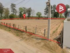  ขายที่ดิน เนื้อที่ 2 ไร่ 1 งาน 91 ตร.วา มุกดาหาร-202509151549281757926168159.jpg