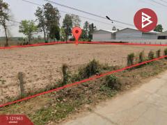  ขายที่ดิน เนื้อที่ 2 ไร่ 1 งาน 91 ตร.วา มุกดาหาร-202509151549281757926168688.jpg