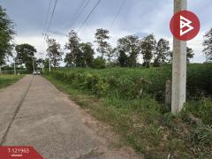  ขายที่ดิน เนื้อที่ 2 ไร่ 1 งาน 91 ตร.วา มุกดาหาร-202509151549291757926169217.jpg