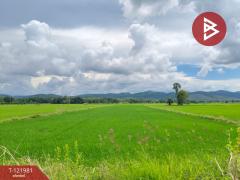  ขายที่ดิน เนื้อที่ 1 ไร่ 3 งาน 94.5 ตร.วา ทองแสนขัน อุตรดิตถ์
