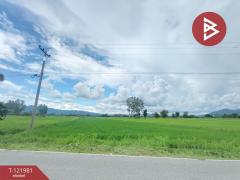  ขายที่ดิน เนื้อที่ 1 ไร่ 3 งาน 94.5 ตร.วา ทองแสนขัน อุตรดิตถ์-202509151605341757927134582.jpg