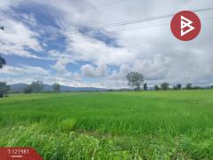 ขายที่ดิน เนื้อที่ 1 ไร่ 3 งาน 94.5 ตร.วา ทองแสนขัน อุตรดิตถ์-202509151605351757927135273.jpg
