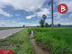  ขายที่ดิน เนื้อที่ 1 ไร่ 3 งาน 94.5 ตร.วา ทองแสนขัน อุตรดิตถ์-202509151605351757927135792.jpg