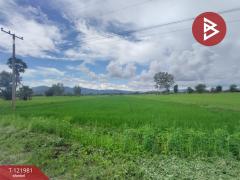  ขายที่ดิน เนื้อที่ 1 ไร่ 3 งาน 94.5 ตร.วา ทองแสนขัน อุตรดิตถ์-202509151605361757927136311.jpg