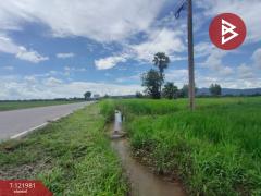  ขายที่ดิน เนื้อที่ 1 ไร่ 3 งาน 94.5 ตร.วา ทองแสนขัน อุตรดิตถ์-202509151605371757927137870.jpg