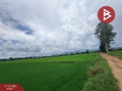  ขายที่ดิน เนื้อที่ 1 ไร่ 3 งาน 94.5 ตร.วา ทองแสนขัน อุตรดิตถ์-202509151605381757927138394.jpg