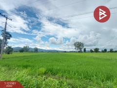  ขายที่ดิน เนื้อที่ 1 ไร่ 3 งาน 94.5 ตร.วา ทองแสนขัน อุตรดิตถ์-202509151605391757927139163.jpg