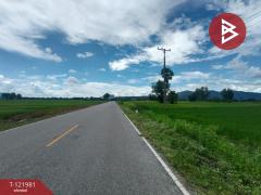  ขายที่ดิน เนื้อที่ 1 ไร่ 3 งาน 94.5 ตร.วา ทองแสนขัน อุตรดิตถ์-202509151605391757927139692.jpg
