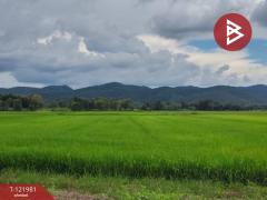  ขายที่ดิน เนื้อที่ 1 ไร่ 3 งาน 94.5 ตร.วา ทองแสนขัน อุตรดิตถ์-202509151605401757927140220.jpg