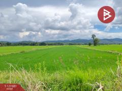  ขายที่ดิน เนื้อที่ 1 ไร่ 3 งาน 94.5 ตร.วา ทองแสนขัน อุตรดิตถ์-202509151605401757927140744.jpg