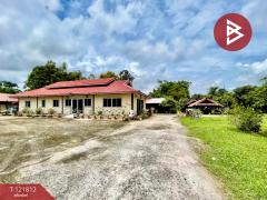 ขายโรงแรมพร้อมที่ดิน เนื้อที่ 12 ไร่ 86 ตร.วา บ้านไผ่ ขอนแก่น-202509151614491757927689692.jpg