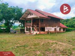 ขายบ้านเดี่ยวพร้อมที่ดิน เนื้อที่ 2 งาน ดอยลาน เชียงราย-202509151615211757927721861.jpg