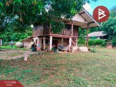 ขายบ้านเดี่ยวพร้อมที่ดิน เนื้อที่ 2 งาน ดอยลาน เชียงราย-202509151615231757927723869.jpg