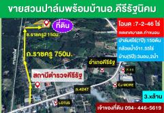 ขายที่สวนปาล์มพร้อมบ้าน ในทต.ท่าขนอน อ.คีรีรัฐนิคม จ.สฎ.
