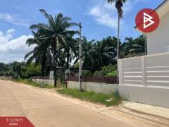 ขายที่ดิน เนื้อที่ 2 ไร่ 5.9 ตารางวา ท่าแซะ ชุมพร-202509151716101757931370907.jpg