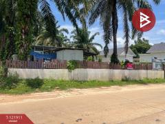 ขายที่ดิน เนื้อที่ 2 ไร่ 5.9 ตารางวา ท่าแซะ ชุมพร-202509151716111757931371441.jpg