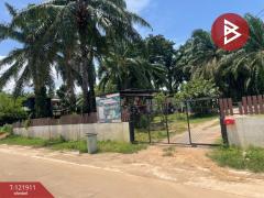 ขายที่ดิน เนื้อที่ 2 ไร่ 5.9 ตารางวา ท่าแซะ ชุมพร-202509151716131757931373034.jpg