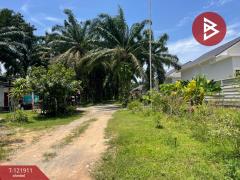 ขายที่ดิน เนื้อที่ 2 ไร่ 5.9 ตารางวา ท่าแซะ ชุมพร-202509151716131757931373571.jpg