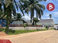 ขายที่ดิน เนื้อที่ 2 ไร่ 5.9 ตารางวา ท่าแซะ ชุมพร-202509151716141757931374142.jpg