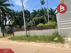 ขายที่ดิน เนื้อที่ 2 ไร่ 5.9 ตารางวา ท่าแซะ ชุมพร-202509151716141757931374683.jpg