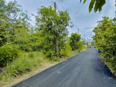 ขายที่ดินถมแล้ว 19.5 ตรว. เคหะคลองแปด อ.หนองเสือ จ.ปทุมธานี ติดถนน น้ำประปา ไฟฟ้า สะดวกสบาย โทร 095-165-3654-202509152233041757950384823.jpg