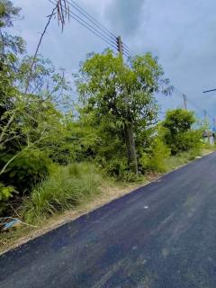 ขายที่ดินถมแล้ว 19.5 ตรว. เคหะคลองแปด อ.หนองเสือ จ.ปทุมธานี ติดถนน น้ำประปา ไฟฟ้า สะดวกสบาย โทร 095-165-3654-202509152233061757950386241.jpg