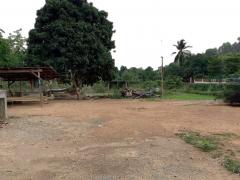 ขายที่ดินบนเนิน แปลงสวย 17 ไร่ 253 ตารางวา พร้อมต้นสักอายุ 20 ปี ปลูกเต็มพื้นที่ 12 ไร่ ต.น้ำหมัน อ.ท่าปลา จ.อุตรดิตถ์