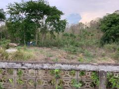 ขายที่ดินบนเนิน แปลงสวย 17 ไร่ 253 ตารางวา พร้อมต้นสักอายุ 20 ปี ปลูกเต็มพื้นที่ 12 ไร่ ต.น้ำหมัน อ.ท่าปลา จ.อุตรดิตถ์-202509160906121757988372407.jpg