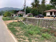 ขายที่ดินบนเนิน แปลงสวย 17 ไร่ 253 ตารางวา พร้อมต้นสักอายุ 20 ปี ปลูกเต็มพื้นที่ 12 ไร่ ต.น้ำหมัน อ.ท่าปลา จ.อุตรดิตถ์-202509160906141757988374603.jpg