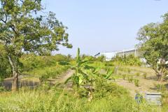 ขาย ที่ดิน ริมถนนนฐ. 4002 ต.บ้านหลวง อ.ดอนตูม 3 ไร่ 2 งาน 63 ตรว CC-202509160940091757990409866.jpg