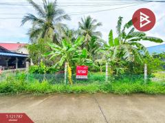 ขายด่วนที่ดิน เนื้อที่ 95 ตารางวา ต.บางยาง สมุทรสาคร ทำเลดี ติดถนนคอนกรีตสาธารณะ