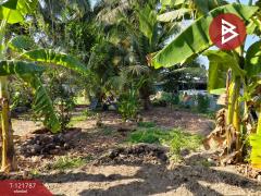 ขายด่วนที่ดิน เนื้อที่ 95 ตารางวา ต.บางยาง สมุทรสาคร ทำเลดี ติดถนนคอนกรีตสาธารณะ-202509161008391757992119935.jpg