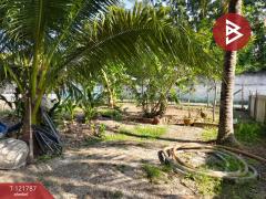 ขายด่วนที่ดิน เนื้อที่ 95 ตารางวา ต.บางยาง สมุทรสาคร ทำเลดี ติดถนนคอนกรีตสาธารณะ-202509161008401757992120482.jpg