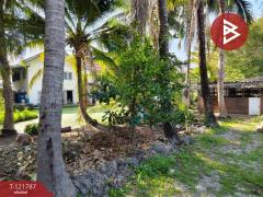 ขายด่วนที่ดิน เนื้อที่ 95 ตารางวา ต.บางยาง สมุทรสาคร ทำเลดี ติดถนนคอนกรีตสาธารณะ-202509161008411757992121029.jpg