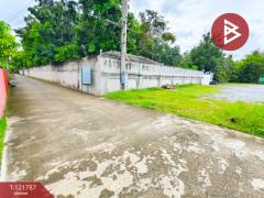 ขายด่วนที่ดิน เนื้อที่ 95 ตารางวา ต.บางยาง สมุทรสาคร ทำเลดี ติดถนนคอนกรีตสาธารณะ-202509161008411757992121578.jpg