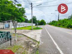 ขายด่วนที่ดิน เนื้อที่ 95 ตารางวา ต.บางยาง สมุทรสาคร ทำเลดี ติดถนนคอนกรีตสาธารณะ-202509161008421757992122121.jpg