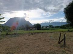 ขายที่ดินเปล่าขนาด 1 ไร่ 1 งาน 35 ตารางวา อ.เชียงดาว จ.เชียงใหม่ บรรยากาศร่มรื่น เห็นวิวดอยหลวง ใกล้โรงเรียนยูเมะมิกิ-202509161102051757995325111.jpg