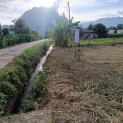 ขายที่ดินเปล่าขนาด 1 ไร่ 1 งาน 35 ตารางวา อ.เชียงดาว จ.เชียงใหม่ บรรยากาศร่มรื่น เห็นวิวดอยหลวง ใกล้โรงเรียนยูเมะมิกิ-202509161102071757995327499.jpg