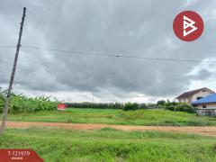 ขายที่ดิน ซ.สำราญรื่น5/1 เนื้อที่ 2 งาน ท่าอิฐ อุตรดิตถ์