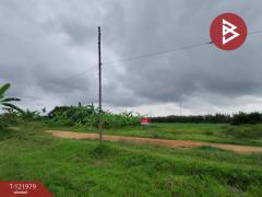 ขายที่ดิน ซ.สำราญรื่น5/1 เนื้อที่ 2 งาน ท่าอิฐ อุตรดิตถ์-202509161121461757996506972.jpg