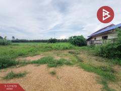 ขายที่ดิน ซ.สำราญรื่น5/1 เนื้อที่ 2 งาน ท่าอิฐ อุตรดิตถ์-202509161121481757996508966.jpg