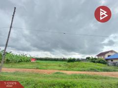 ขายที่ดิน ซ.สำราญรื่น5/1 เนื้อที่ 2 งาน ท่าอิฐ อุตรดิตถ์-202509161121501757996510041.jpg