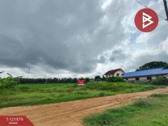 ขายที่ดิน ซ.สำราญรื่น5/1 เนื้อที่ 2 งาน ท่าอิฐ อุตรดิตถ์-202509161121501757996510572.jpg