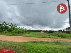 ขายที่ดิน ซ.สำราญรื่น5/1 เนื้อที่ 2 งาน ท่าอิฐ อุตรดิตถ์-202509161121511757996511089.jpg