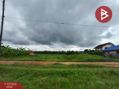 ขายที่ดิน ซ.สำราญรื่น5/1 เนื้อที่ 2 งาน ท่าอิฐ อุตรดิตถ์-202509161121521757996512677.jpg