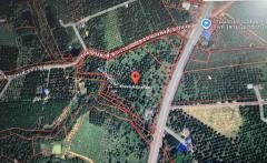 ขายที่สวนเจริญพร 28​ โร่​ 3​ งาน​ 62​ ตรว. ทิศตะวันออกติดถนนบำราศนราดูร (4 เลน)​ หน้ากว้าง​ 320​ เมตร ห่าง​ 8.5 ก.ม.จากถนนสุขุมวิท​ (แยกเขาไร่ยา) มีถนนดำด้านเหนือและคลองล้อมด้านตะวันตก/ใต้ มีทุเรียน​ มังคุด​ ลองกอง​ เก็บเกี่ยวผบได้อย่างละ​ เกือบ​ 300